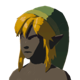 Zelda Tears of the Kingdom Cap of the Wild